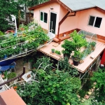 Къща в Хасково, Възраждане - 340 кв.м за 308 €/кв.м - Снимка #1