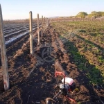 Парцел в Ахелой - 1500 кв.м за 5 €/кв.м - Снимка #1