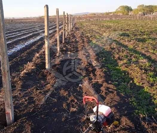 Парцел в Ахелой - 1500 кв.м за 5 €/кв.м - Снимка #1