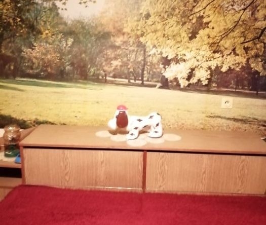 Къща в Две могили - 240 кв.м за 455 €/кв.м - Снимка #1