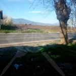 Парцел в Асеновград - 1305 кв.м за 23 €/кв.м - Снимка #1