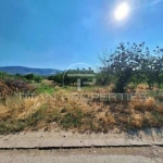 Парцел в с. Брестник, Област Пловдив - 1501 кв.м за 59 €/кв.м - Снимка #1