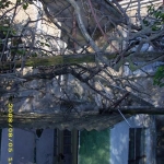 Къща в с. Недялско, Област Ямбол - 86 кв.м за 128 €/кв.м - Снимка #1