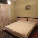 Къща в с. Шейново, Област Стара Загора - 210 кв.м за 381 €/кв.м - Снимка #1