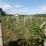 Парцел в с. Горна махала, Област Пловдив - 3000 кв.м за 8 €/кв.м - Снимка #1