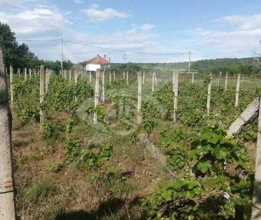 Парцел в с. Горна махала, Област Пловдив - 3000 кв.м за 8 €/кв.м - Снимка #1