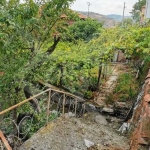 Къща в с. Брестовица, Област Пловдив - 54 кв.м за 686 €/кв.м - Снимка #1