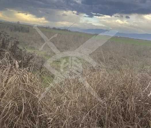 Парцел в с. Крислово, Област Пловдив - 3000 кв.м за 15 €/кв.м - Снимка #1