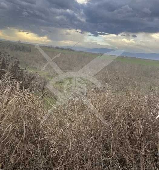 Парцел в с. Крислово, Област Пловдив - 3000 кв.м за 15 €/кв.м - Снимка #1