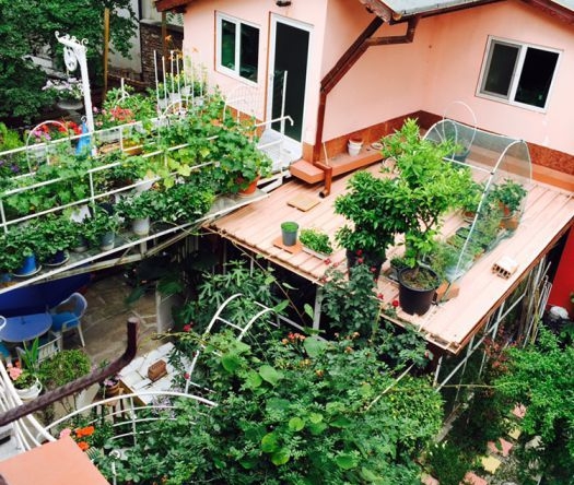 Къща в Хасково, Възраждане - 340 кв.м за 589 €/кв.м - Снимка #1