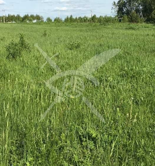 Парцел в Перущица - 489 кв.м за 45 €/кв.м - Снимка #1