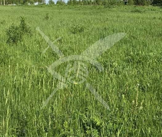 Парцел в Перущица - 489 кв.м за 88 €/кв.м - Снимка #1