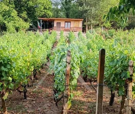 Къща в Първомай - 35 кв.м за 429 €/кв.м - Снимка #1