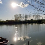 Парцел в Мизия - 21000 кв.м за 7 €/кв.м - Снимка #1