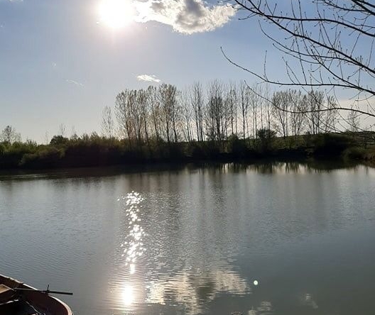 Парцел в Мизия - 21000 кв.м за 7 €/кв.м - Снимка #1