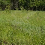 Парцел в с. Крумово, Област Пловдив - 5496 кв.м за 16 €/кв.м - Снимка #1