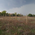 Парцел в с. Оряховица, Област Стара Загора - 833 кв.м за 8 €/кв.м - Снимка #1