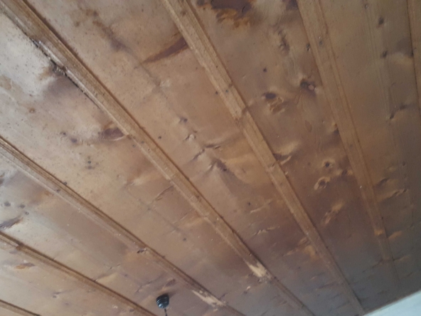 Къща в с. Сливовица, Област Велико Търново - 100 кв.м за 77 €/кв.м - Снимка #1