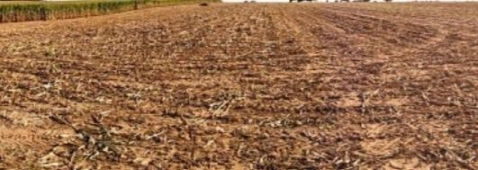 Земеделски имот в Варна, Чайка -  кв.м за 2550 €/дка - Снимка #1