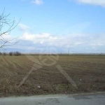 Парцел в с. Калояново, Област Пловдив - 5500 кв.м за 6 €/кв.м - Снимка #1