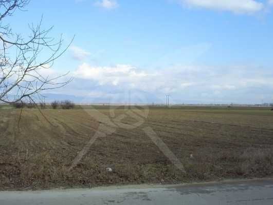 Парцел в с. Калояново, Област Пловдив - 5500 кв.м за 6 €/кв.м - Снимка #1