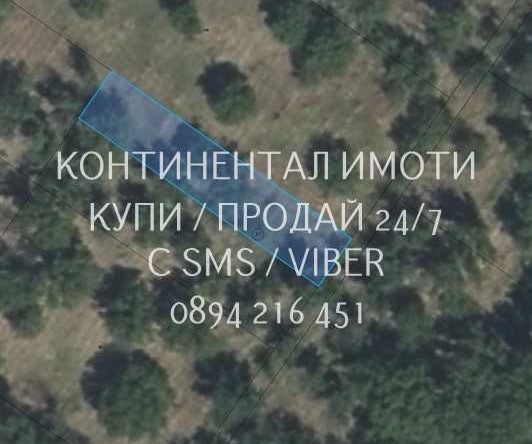 Земеделски имот в с. Куртово Конаре, Област Пловдив -  кв.м за 2295 €/дка - Снимка #1