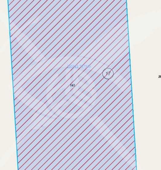 Парцел в Поморие - 14000 кв.м за 6 €/кв.м - Снимка #1