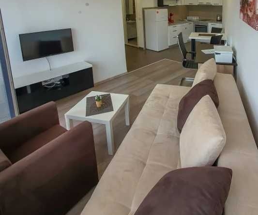 Дава се под наем Двустаен апартамент в Пловдив, Каменица 2 - 81 кв.м за 295.8 € - Снимка #1