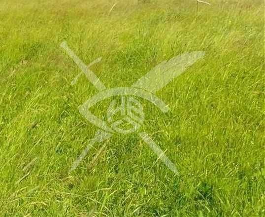 Парцел в Пловдив, Тракия - 3740 кв.м за 49 €/кв.м - Снимка #1