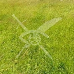 Парцел в Пловдив, Индустриална зона - Север - 8008 кв.м за 25 €/кв.м - Снимка #1