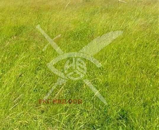 Парцел в с. Синеморец, Област Бургас - 600 кв.м за 400 €/кв.м - Снимка #1