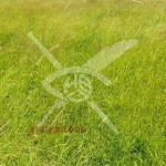 Парцел в Карнобат - 2333 кв.м за 8 €/кв.м - Снимка #1