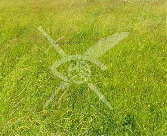 Парцел в Ахелой - 10000 кв.м за 125 €/кв.м - Снимка #1