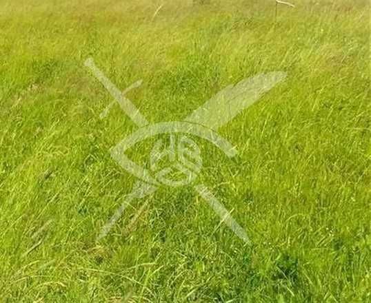 Парцел в с. Конуш, Област Пловдив - 1147 кв.м за 23 €/кв.м - Снимка #1