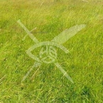 Парцел в Бургас, Меден рудник - зона А - 12276 кв.м за 21 €/кв.м - Снимка #1