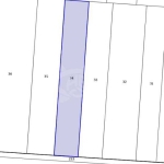 Парцел в с. Цалапица, Област Пловдив - 3600 кв.м за 11 €/кв.м - Снимка #1