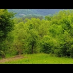 Парцел в Априлци - 2200 кв.м за 10 €/кв.м - Снимка #1