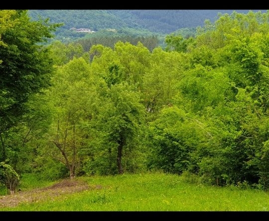 Парцел в Априлци - 2200 кв.м за 10 €/кв.м - Снимка #1