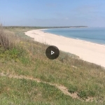 Земеделски имот в Добрич, Пинета -  кв.м за 30000 €/дка - Снимка #1