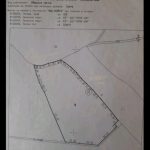 Земеделски имот в с. Заветно, Област Търговище -  кв.м за 710 €/дка - Снимка #1