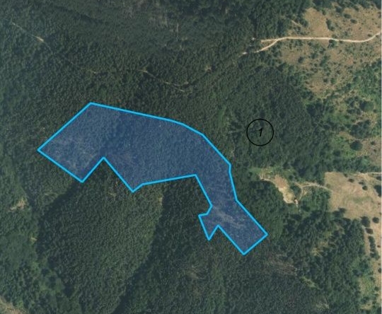 Земеделски имот в Чепеларе -  кв.м за 510 €/дка - Снимка #1