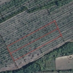 Земеделски имот в с. Сливек, Област Ловеч -  кв.м за 663 €/дка - Снимка #1