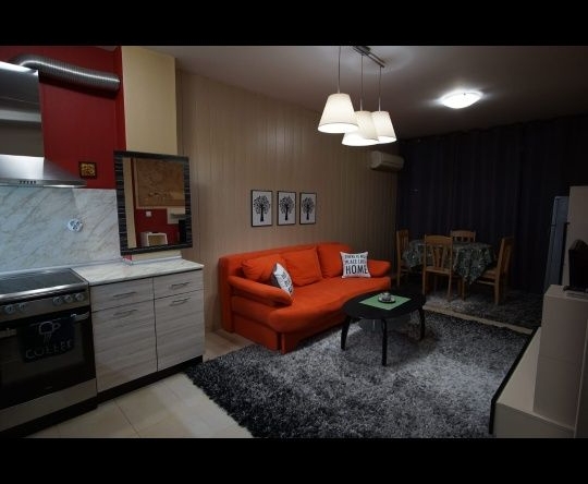 Дава се под наем Двустаен апартамент в Димитровград - 62 кв.м за 229.5 € - Снимка #1