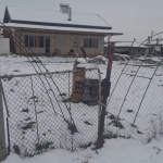 Парцел в с. Голям чардак, Област Пловдив - 1009 кв.м за 21 €/кв.м - Снимка #1