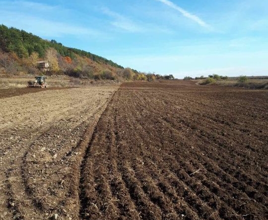 Земеделски имот в с. Тъжа, Област Стара Загора -  кв.м за 547 €/дка - Снимка #1