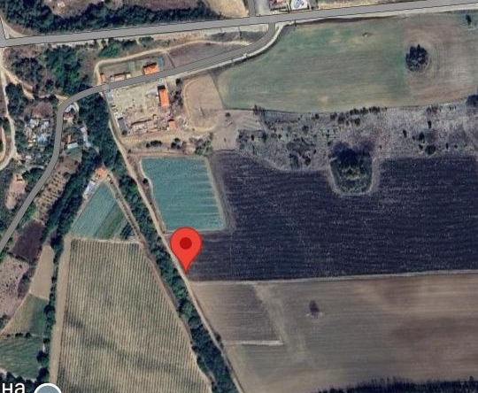 Земеделски имот в с. Копринка, Област Стара Загора -  кв.м за 1275 €/дка - Снимка #1