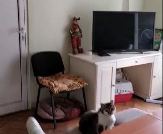 Дава се под наем  в София, Център - 16 кв.м за 204 € - Снимка #1