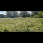 Земеделски имот в с. Дъбене, Област Пловдив -  кв.м за 1275 €/дка - Снимка #1