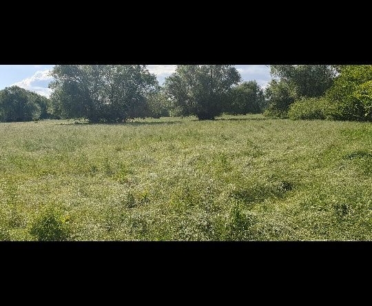 Земеделски имот в с. Дъбене, Област Пловдив -  кв.м за 1275 €/дка - Снимка #1