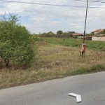 Парцел в с. Калояново, Област Пловдив - 407 кв.м за 74 €/кв.м - Снимка #1